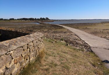 Tour Wandern Saint-Armel - Île Tascon. Golf du Morbihan. 16-07-18. - Photo