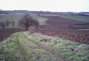 Tocht Lopen Paulhac - Pas de Bic-mac à Paulhac ! - Photo