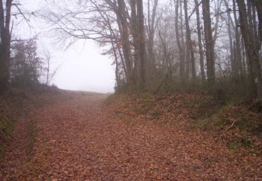 Trail Walking Villemur-sur-Tarn - Villemur Bondigoux - Photo