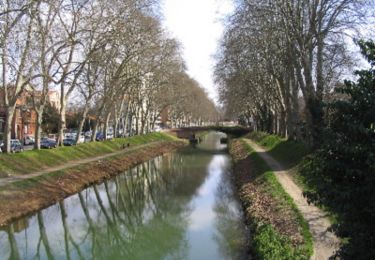 Percorso Marcia Tolosa - Des coteaux au Canal du Midi - Photo