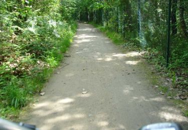 Trail Walking Aizenay - Aizenay - Circuit des Ecureuils - Photo