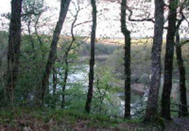 Randonnée V.T.T. Vouvant - Forêt de Mervent - Photo