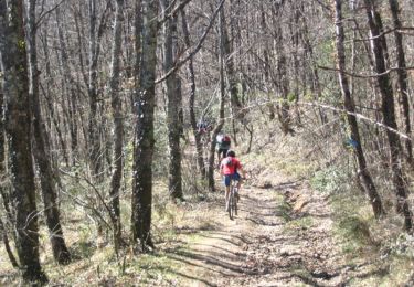 Trail Mountain bike Arthès - Le long du Tarn vers Arthes - Photo