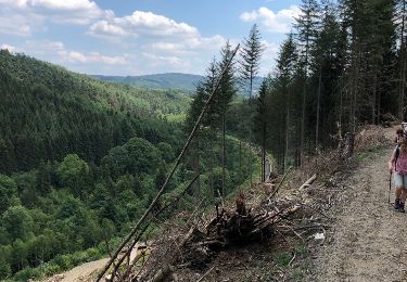 Tour Wandern Dreibrücken - Saint Jacques (Trois-ponts) Dénivelés par bois er villages  - Photo