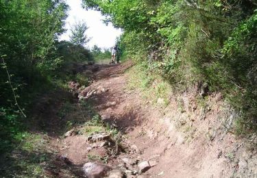 Excursión Bici de montaña Bruniquel - Bruniquel, Grésigne, Penne - Photo