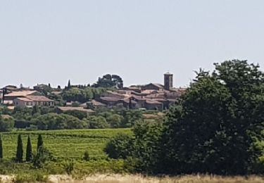 Percorso Marcia Caux-et-Sauzens - 11-Caux et Sauzens-châteaux de Fesces et Falabry 22-07-2018 - Photo