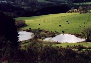 Tour Mountainbike Montsauche-les-Settons - Lac des Settons - Saut du Gouloux - Photo