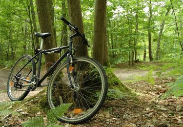 Tour Mountainbike Marnes-la-Coquette - Rando à Marnes la Coquette - Photo