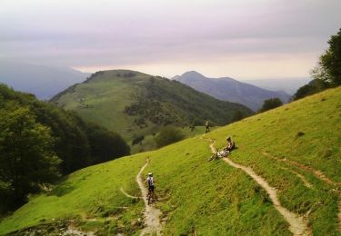 Excursión Bici de montaña Asté - Bagnères de Bigorre bis VTT - Photo