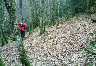 Randonnée V.T.T. Bruniquel - Bruniquel - Sud vers Les Abriols - Photo