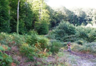 Trail Mountain bike Bellême - La Bell'Rando 2005 - Photo