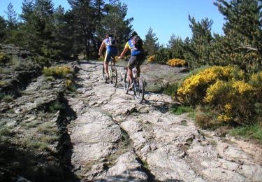 Tocht Mountainbike La Bastide-Puylaurent - La Bastide Puylaurent - La Fage - Photo