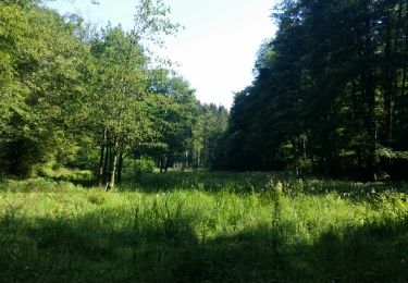 Trail Walking Houyet - CIERGNON (Les étangs de Fenffe). - Photo