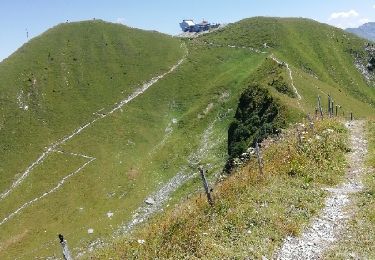 Tour Wandern Gruyères - 2018-07-26 Plan Francey Moleson en boucle  - Photo