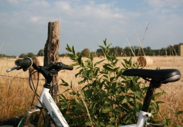Trail Mountain bike Hindisheim - Le Long des Canaux - Photo