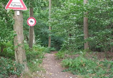 Tocht Stappen Eupen - Clouse emu - Photo