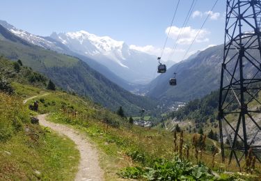 Tocht Sneeuwschoenen Chamonix-Mont-Blanc - Test Aiguille des Posettes Cap Nord  - Photo
