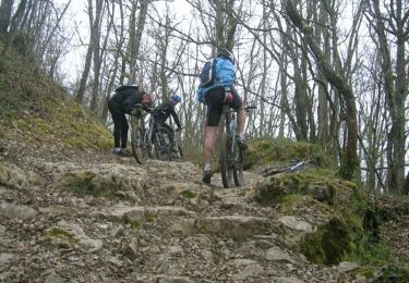 Tour Mountainbike Estillac - Moirax - Photo