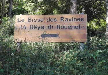 Randonnée Marche Val de Bagnes - Bruson -  bisse des ravines 29.07.18 - Photo