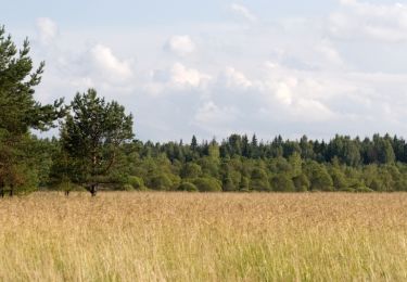 Randonnée V.T.T. Fondettes - De Fondettes à Ambillou - Photo