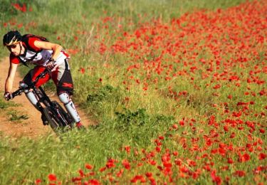 Randonnée V.T.T. Blagnac - Randoblique 2007 - par la forêt de Bouconne - Photo