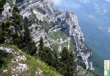 Tour Wandern Plateau-des-Petites-Roches - Le Pas de Ragris, l'Aulp du Seuil - Photo