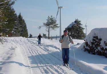 Trail Walking Gentioux-Pigerolles - Rencontre avec les éoliennes - Pigerolles - Photo