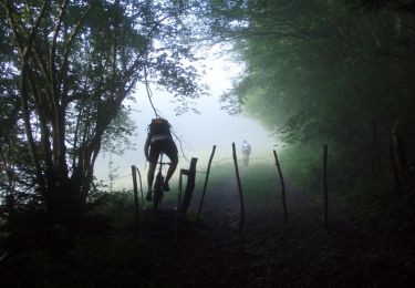 Tocht Mountainbike Mandeure - Grandes Traversées du Jura - Le Pays de Montbéliard - Photo
