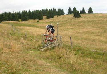 Tocht Mountainbike Foncine-le-Haut - Grandes Traversées du Jura à VTT - Haut Jura - Photo