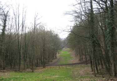 Trail Walking Buding - Découverte des bildstocks de Veckring, de Helling et de Budling - Photo