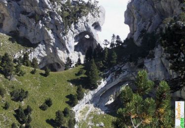 Randonnée Marche Plateau-des-Petites-Roches - Par le Grand Sangle de l'Aulp du Seuil - Photo