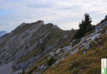 Randonnée Marche Villard-de-Lans - Traversée des Rochers de l'Ours et de la Crête des Crocs - Photo