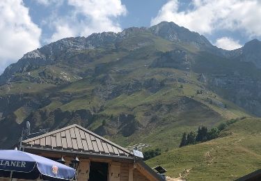 Randonnée Marche Talloires-Montmin - Col de Forclaz, départ parapente,chalet de l'aulp et retour  - Photo