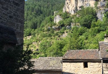 Tocht Stappen Gorges du Tarn Causses - Ste Enimie Castelbouc Ste Enimie  - Photo