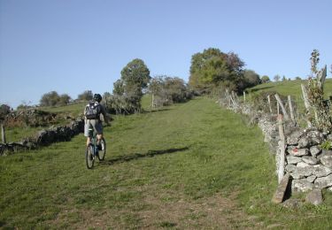 Trail Mountain bike Neuvéglise-sur-Truyère - Espace VTT FFC du Pays de St Flour - Circuit n° 12 - Entre curiosités et légendes - Photo