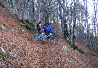 Trail Mountain bike Brantes - Ventoux face nord - Photo