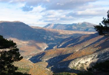 Excursión Bici de montaña Saint-Ferréol-Trente-Pas - Espace VTT FFC La Drôme Provençale - Circuit n° 5 -Les crêtes de Plombard - Photo