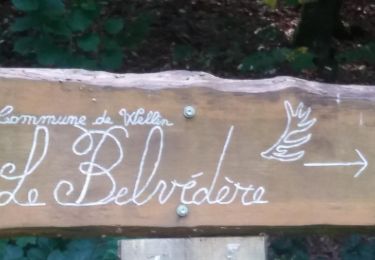 Tour Wandern Wellin - Belvédère depuis la passerelle Maria - Photo