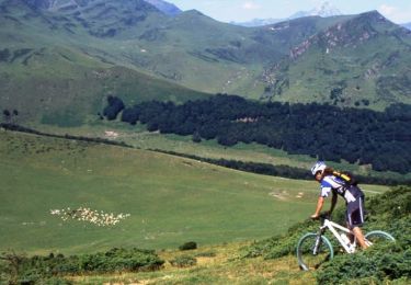 Excursión Bici de montaña Campan - Espace VTT FFC Haute Bigorre - Circuit n° 22 - Artigue - Sarrat de Gaye - Photo