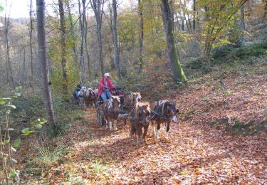 Trail Equestrian Burg - Sur les crêtes du piémont Pyrenéen - Photo
