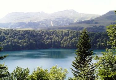 Trail Walking Besse-et-Saint-Anastaise - Lac Pavin (près de Besse) - Photo