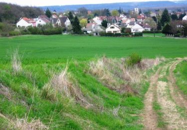 Tour Wandern Étréchy - Autour d'Etréchy - Photo