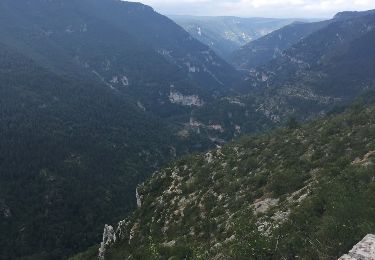 Tour Wandern Gorges du Tarn Causses - Laval du Tarn (boucle)  - Photo