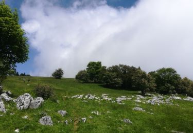 Trail Walking Lans-en-Vercors - vertige des cimes - Photo