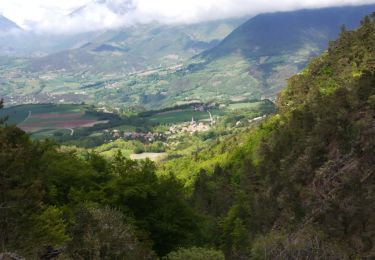 Tour Wandern Châtel-en-Trièves - ruisseau des pavés - Photo