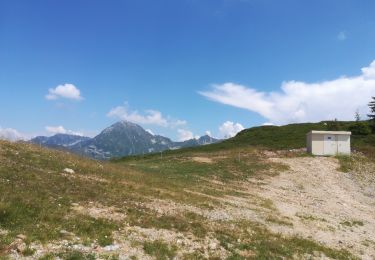 Excursión Senderismo La Chapelle-du-Bard - col occiput - Photo