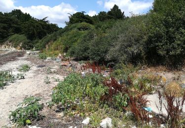 Trail Walking Île-aux-Moines - île aux moines 2018 - Photo