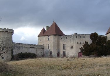 Randonnée Marche Aigueperse - Le château de la Roche - Photo