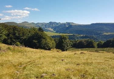 Tour Wandern Mont-Dore - MontDorePuyGros_T - Photo