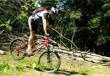 Trail Mountain bike Viverols - Espace VTT FFC de la Vallée de l'Ance - Circuit n° 12 - Photo